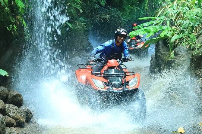Quad / Atv